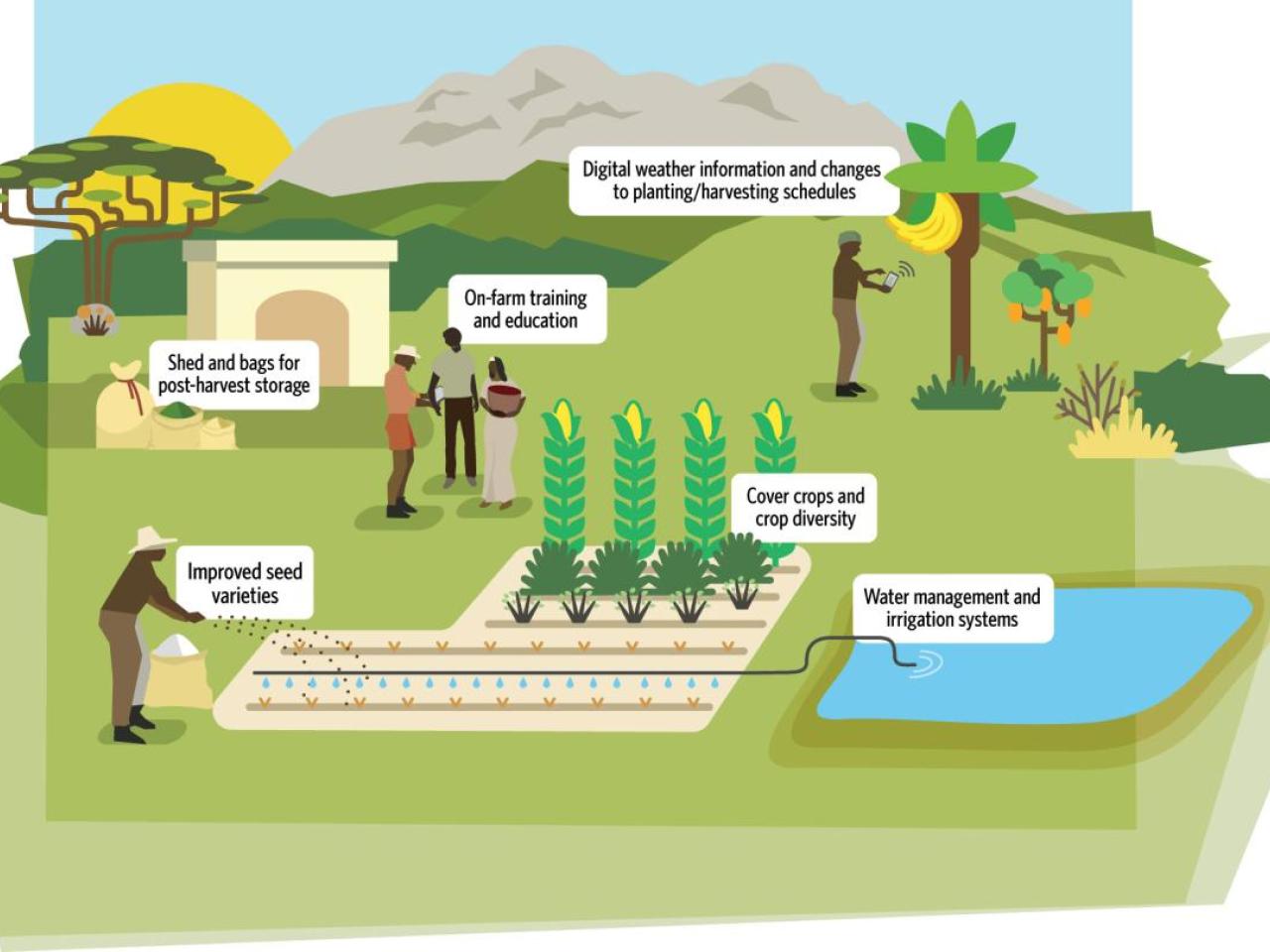 Conceptual diagram of on-farm adaptation strategies. Source: TNC 