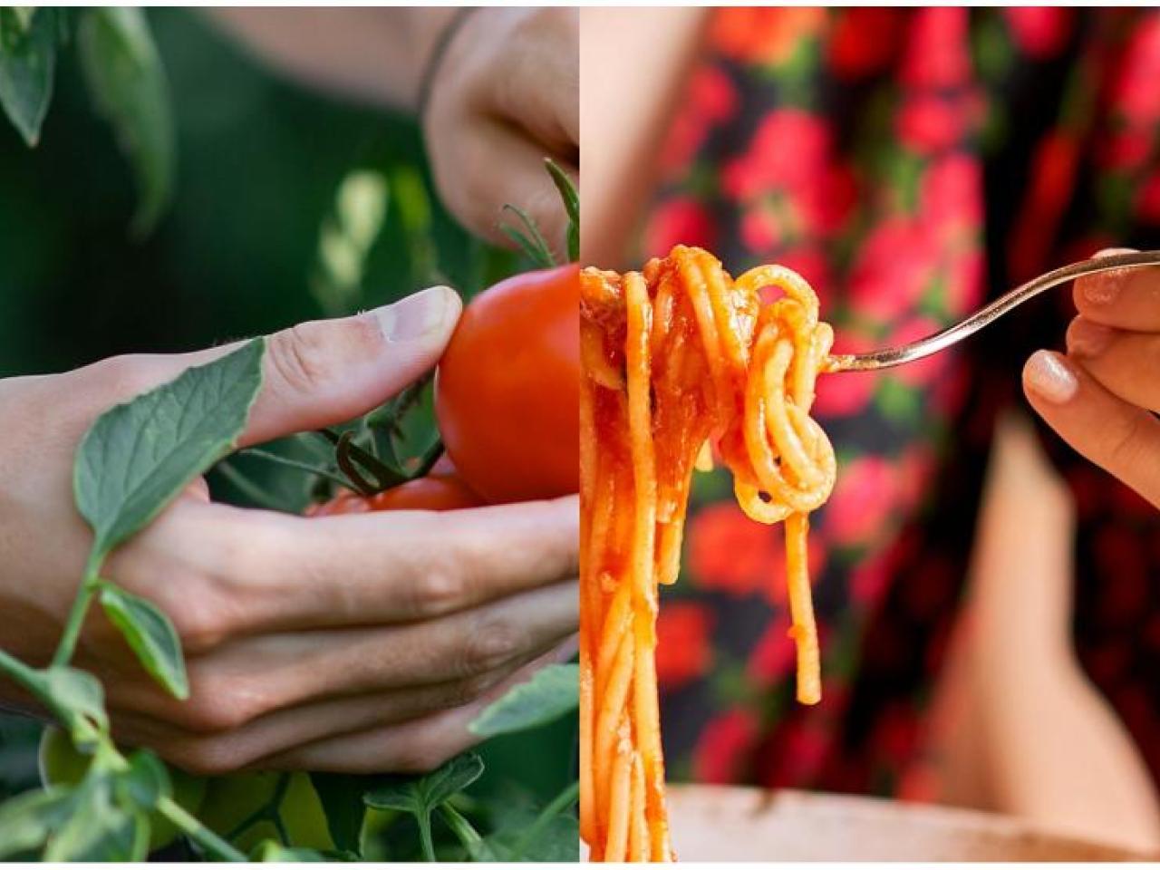collage: a hand holding a tomato, a hand holding a forkful of spaghetti
