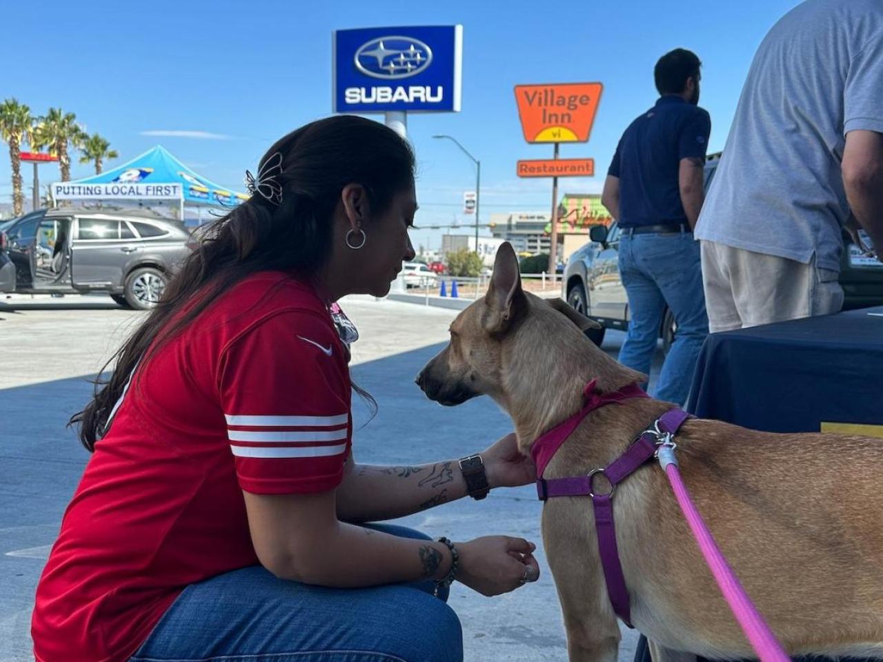 A person crouched down stroking a dog 