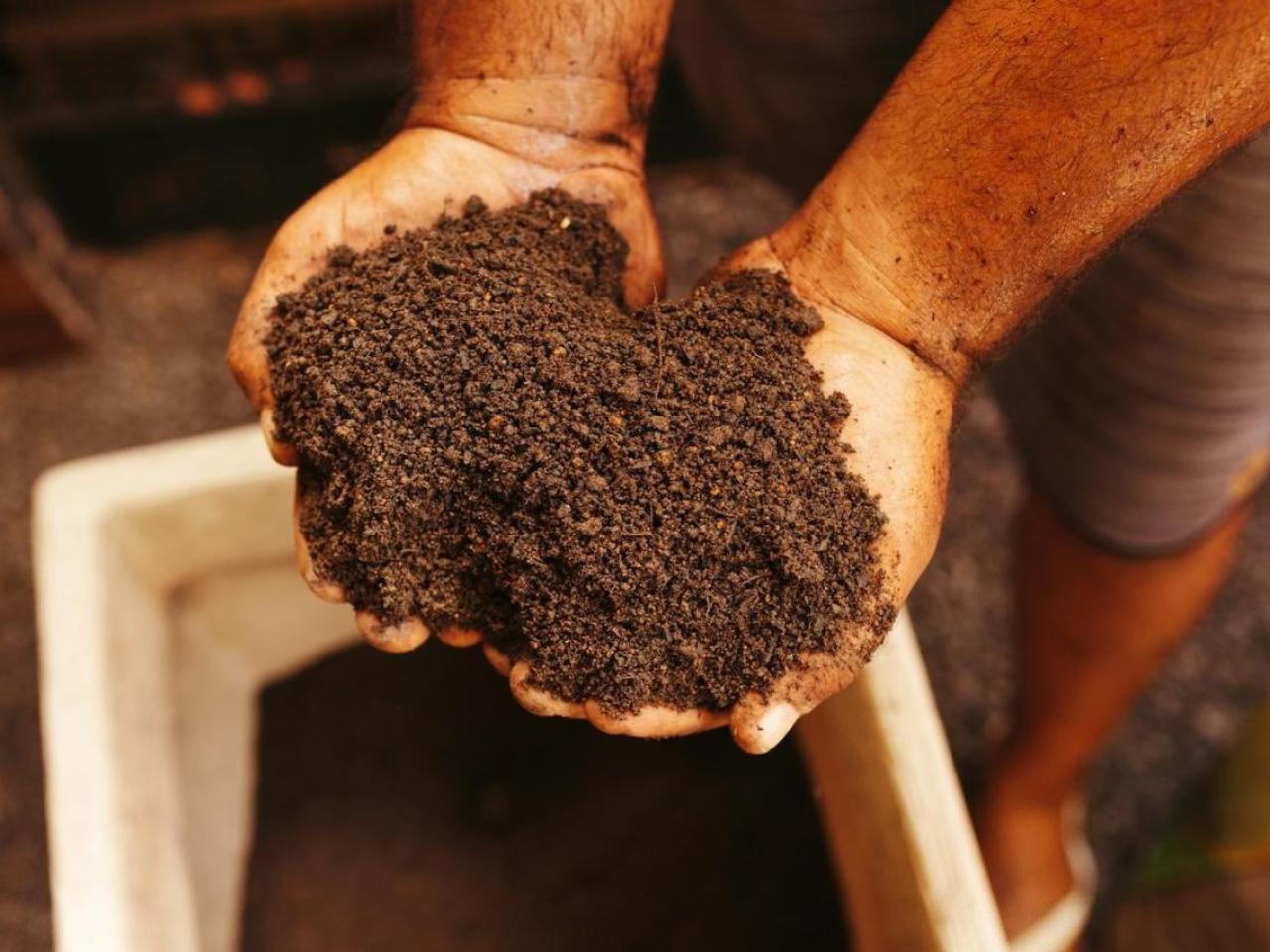 hands in dirt