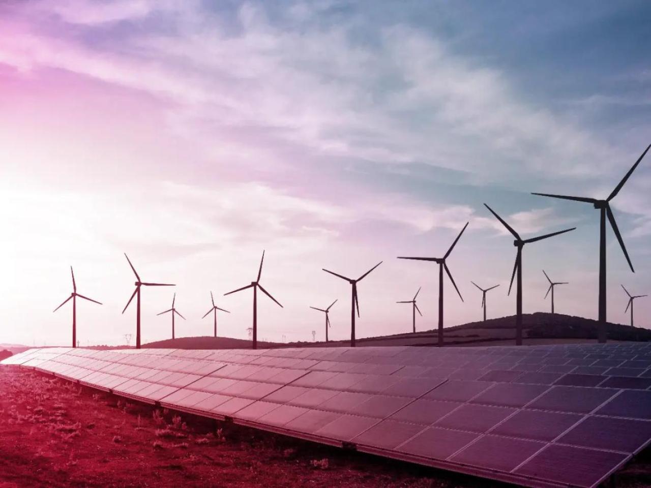 A long row of solar panels, rows of wind turbines in the background.