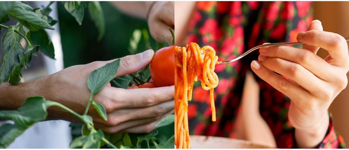 collage: a hand holding a tomato, a hand holding a forkful of spaghetti