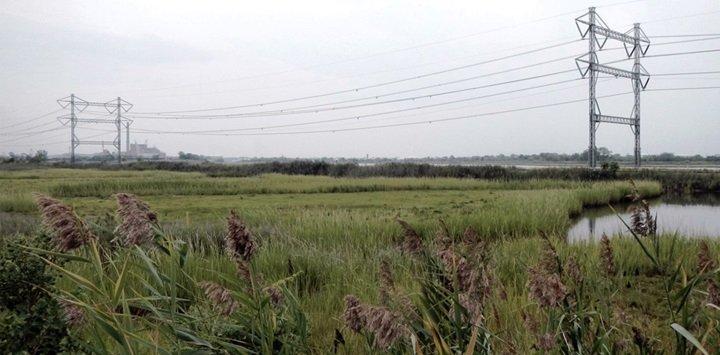 Power lines over wetlands