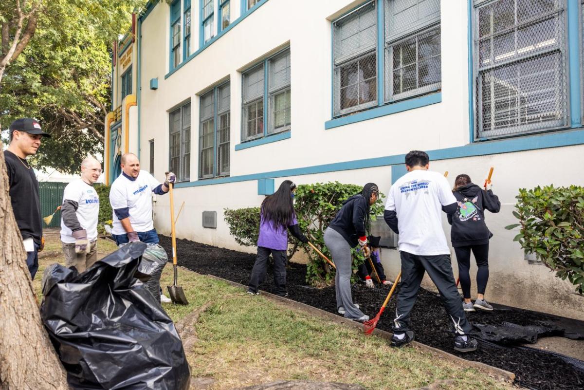 AEG volunteers in Los Angeles helped restore the school's reading garden and landscaping around the campus.