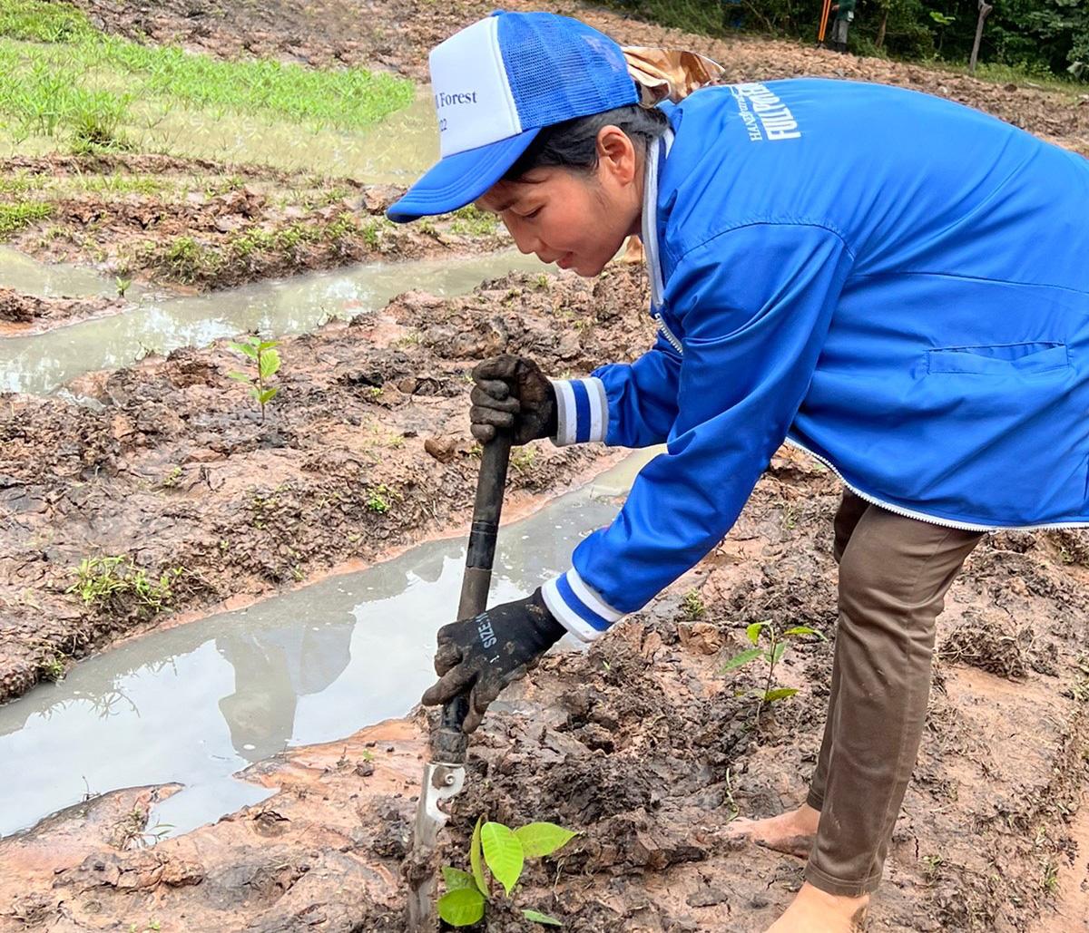 tree planting