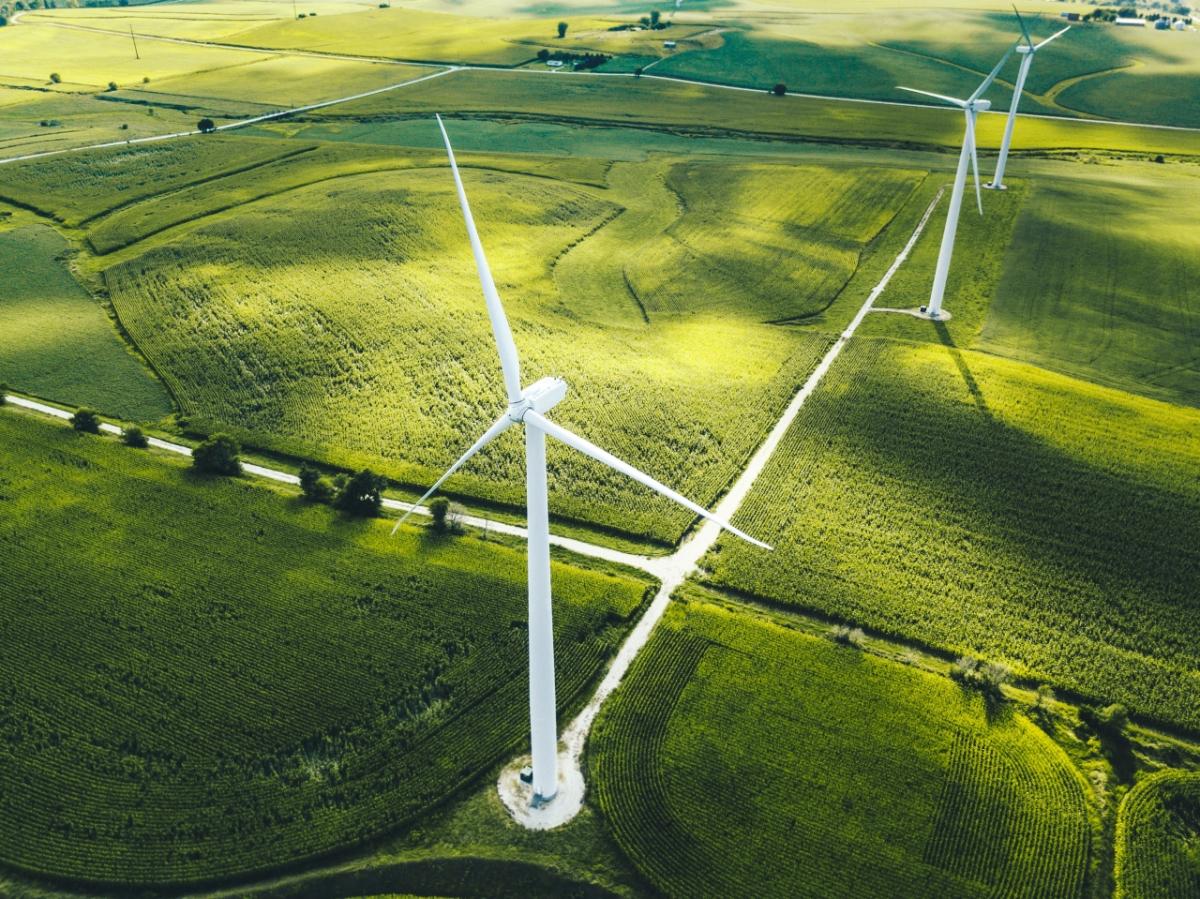 Windmills in a field.