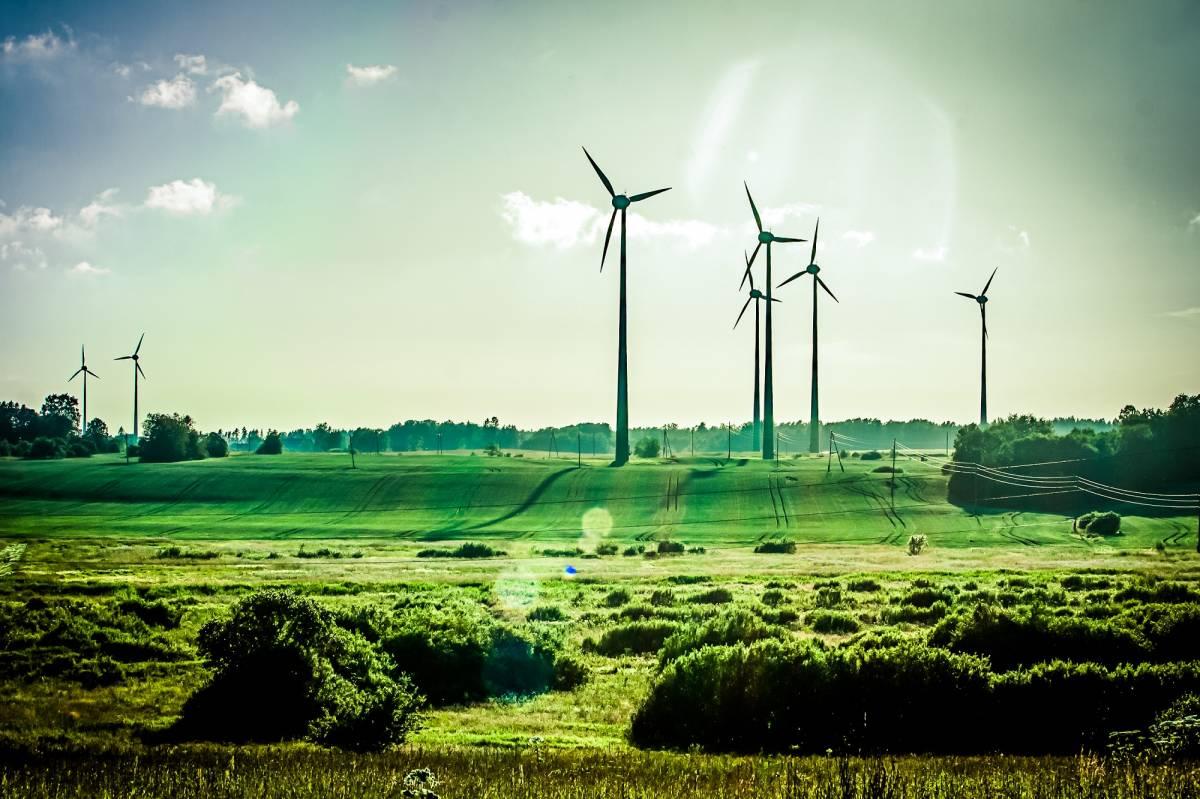 Wind turbines in the distance