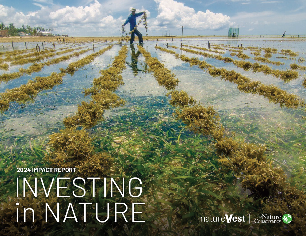 TNC NatureVest 2024 Impact Report: Investing in Nature Cover image for TNC NatureVest 2024 Impact Report