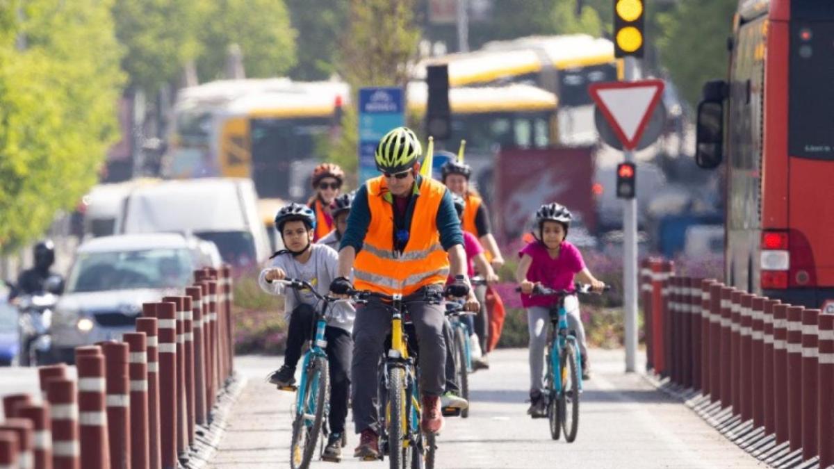 Cyclists in the city