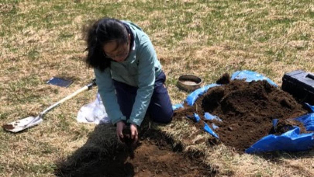 Person gardening