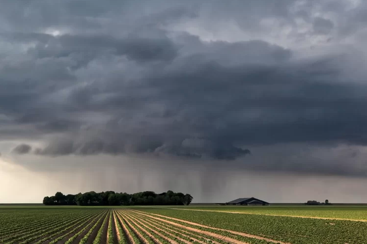 Farmland LP article image