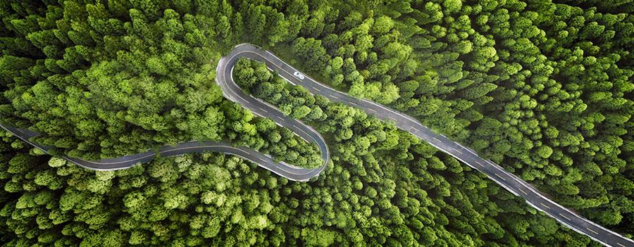 A winding road through a dense forest. A single car driving on it.