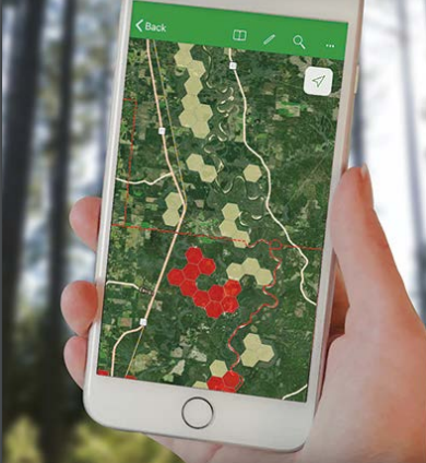 A person holding a phone with aerial gps map, red and yellow portions marked off.