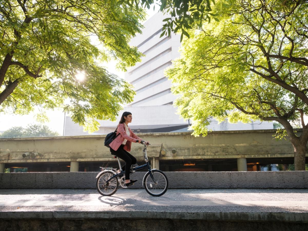 bicyclist near trees and a building