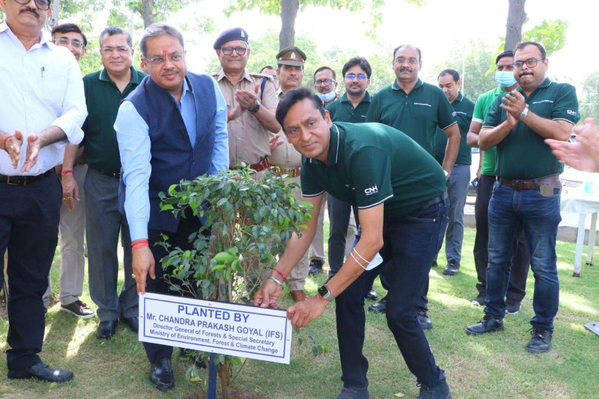 Group of people celebrate the planting of trees