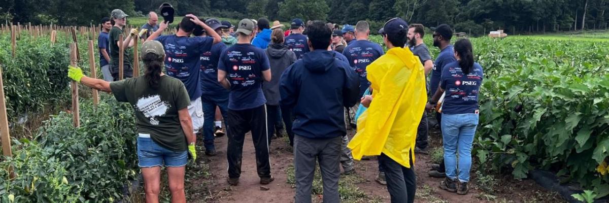 volunteers standing in a field