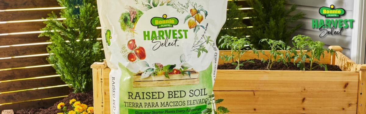 Bonnie Plants Harvest Select Raised Bed Soil.
