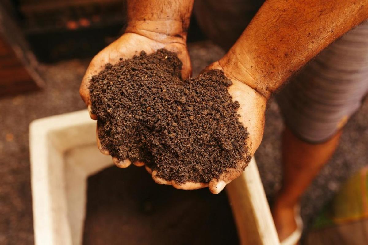 (Image: JSB Co./Unsplash) hands in dirt
