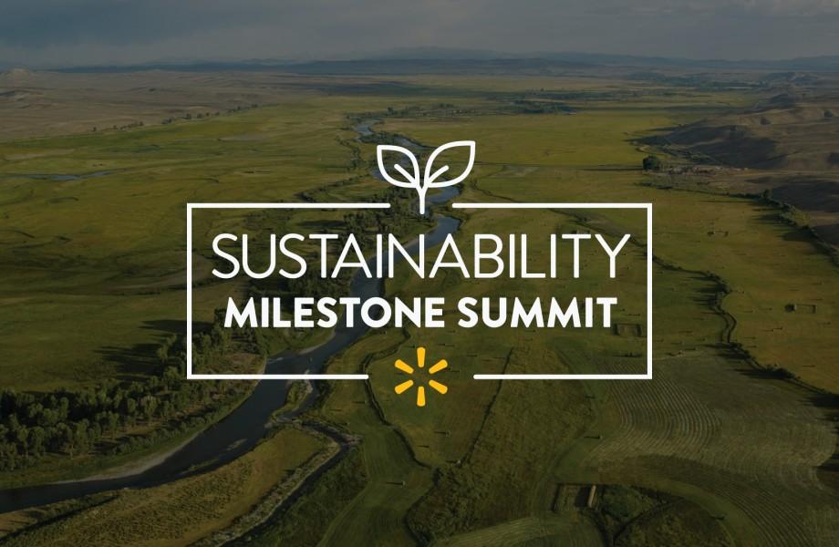 "Sustainability Milestone Summit"