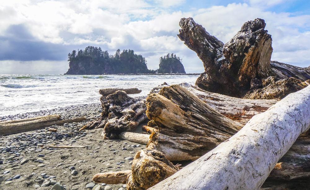 shoreline of the Pacific Ocean