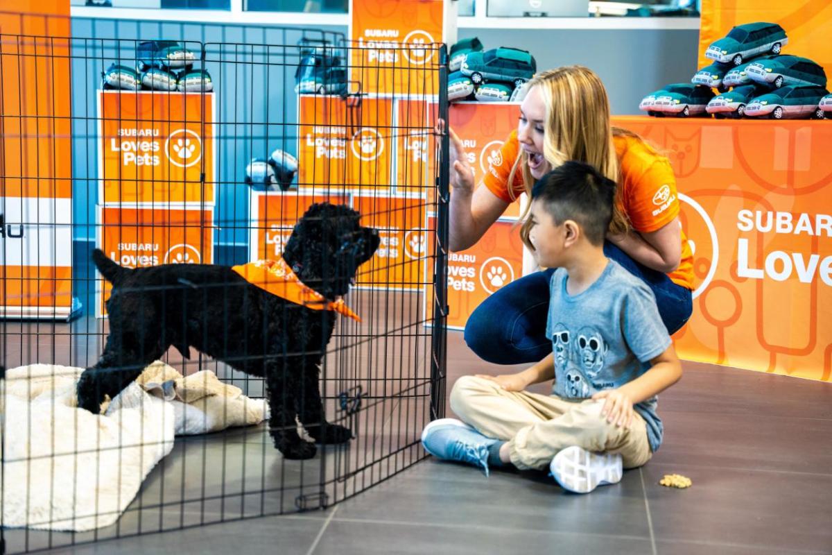 2 people looking at a dog in a cage