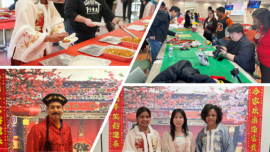 Lunar New Year collage