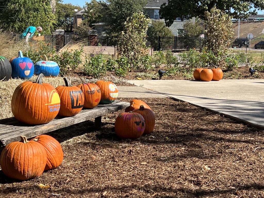 Painted pumpkins in a garden