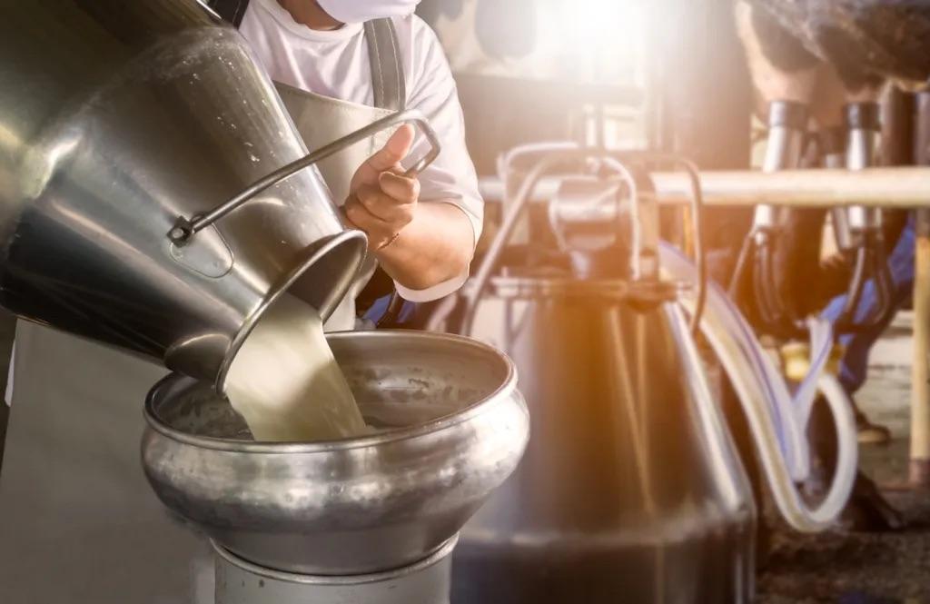 milk being poured in a factory