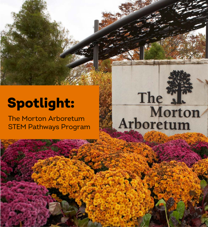 "Spotlight: The Morton Arboretum STEM pathways program" Outdoor view of The Morton Arboretum sign and rows of mums in front of it.