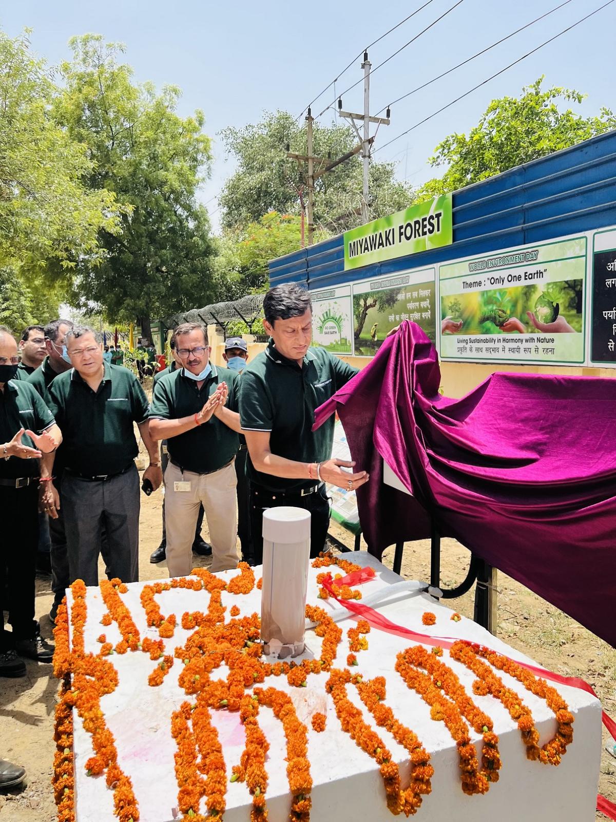 Unveiling of a tree project