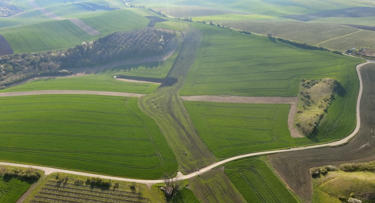 Riverwood Farm, located in Oregon’s Willamette Valley; Farmland LP Fund III’s inaugural farm