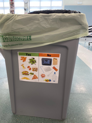 Food waste bucket