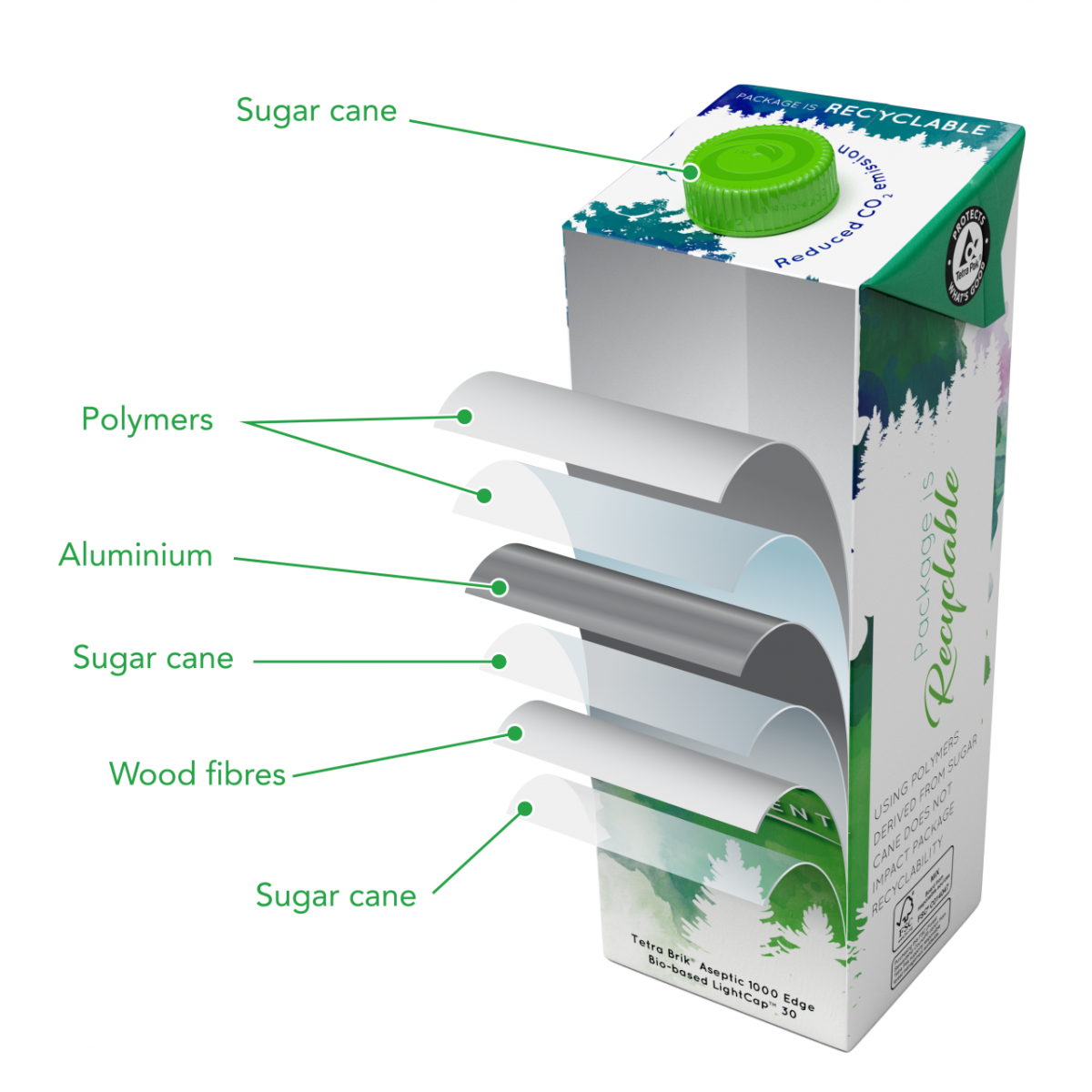 Tetra Pak carton layers