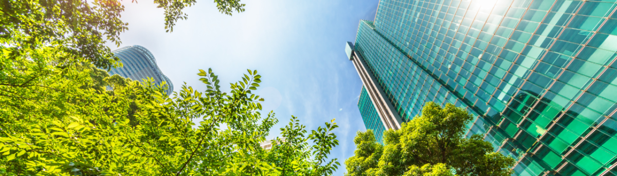 Sunny upward-facing view of a glass office building and tree foliage