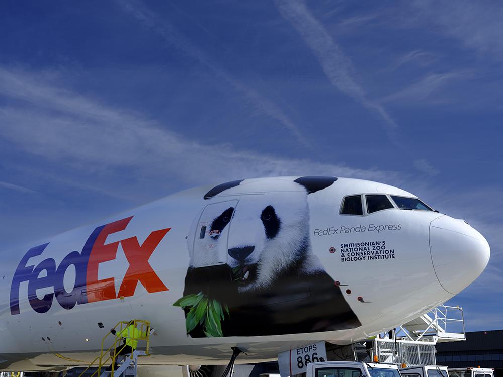 FedEx airplane with Panda image on it