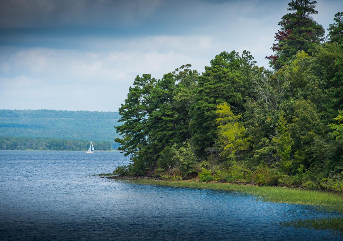 A calm body of water next to trees