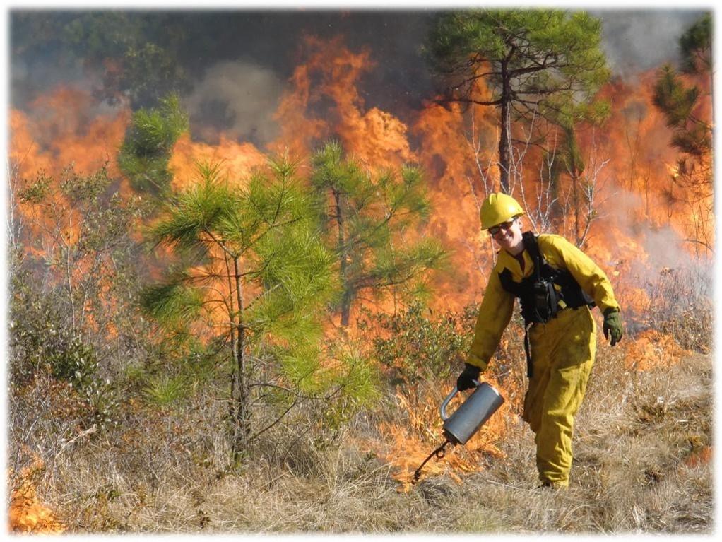 firefighter assisting a controlled burn