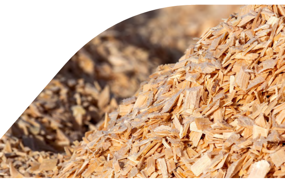 Close up of a pile of wood shavings