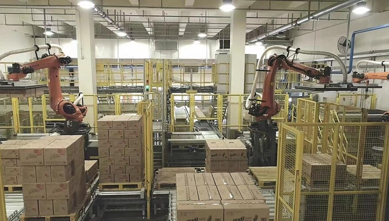 Inside a plant. Two robotic arms stacking pallets of boxes.