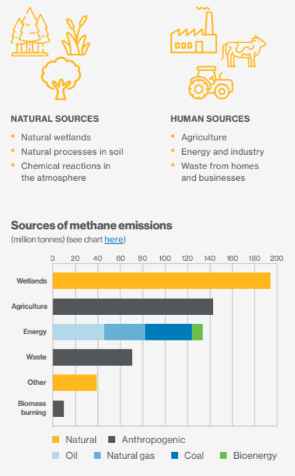 Info graphic bar graph "Sources of methane emissions "