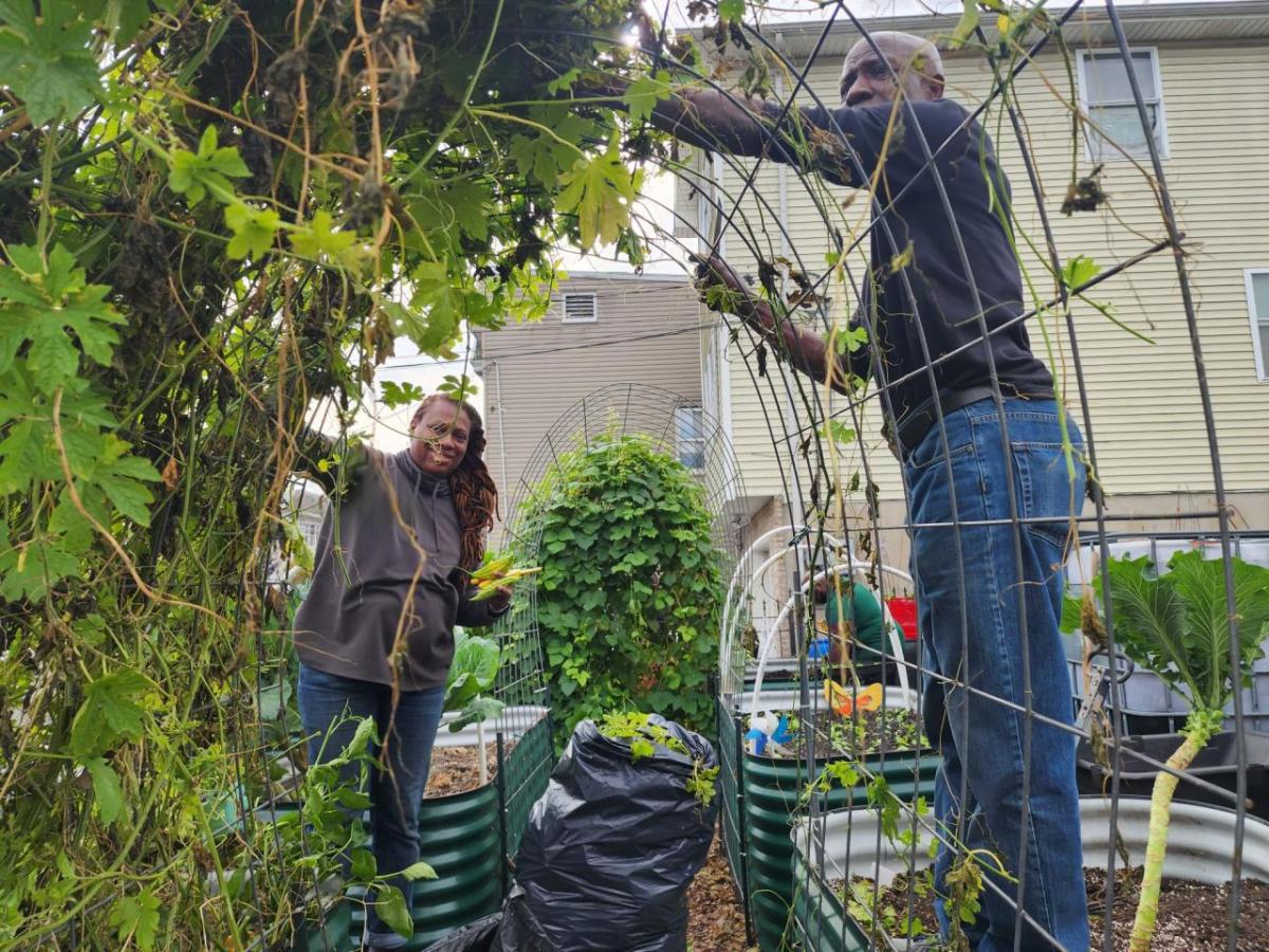 Giving One Tenth Community Garden – Newark, NJ people working with plants