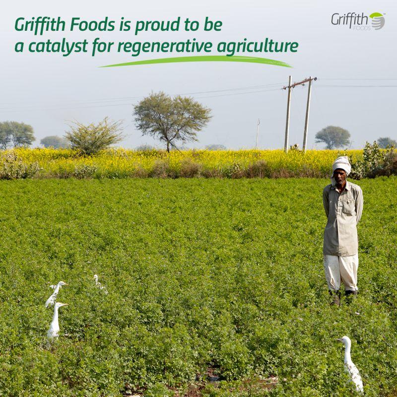 A person stands in a crop field. White ducks foraging around them. "Griffith Foods is proud to be a catalyst for regenerative agriculture."