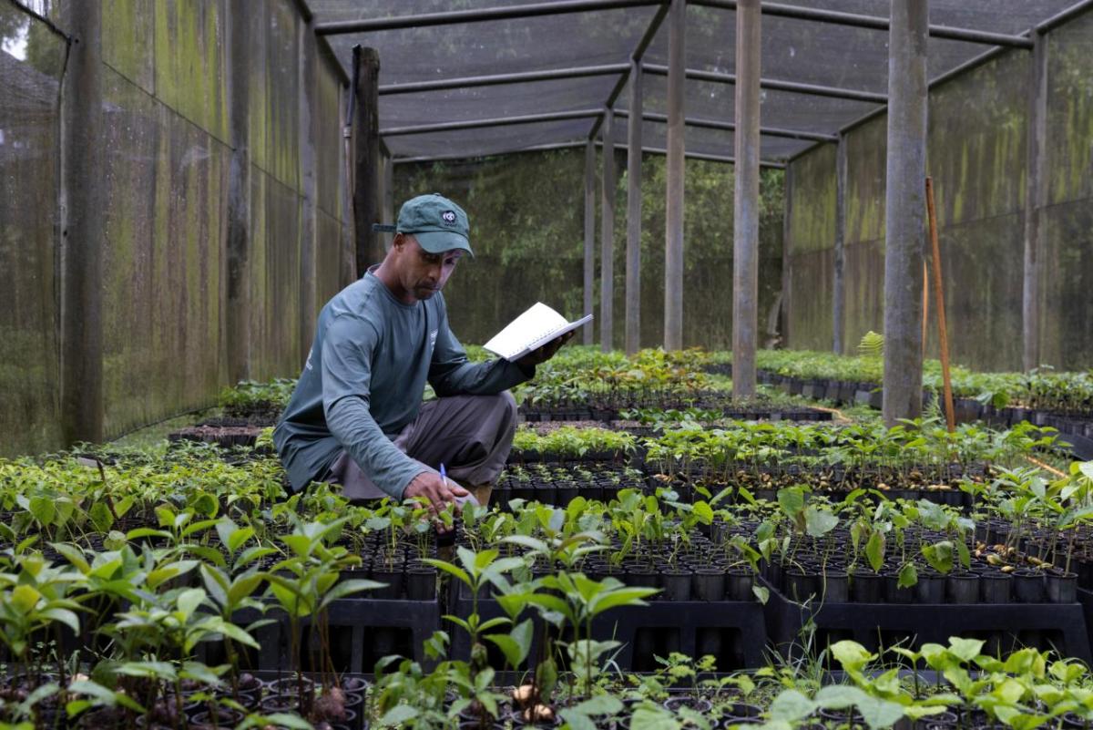 A man with a notebook surrounded by seedlings