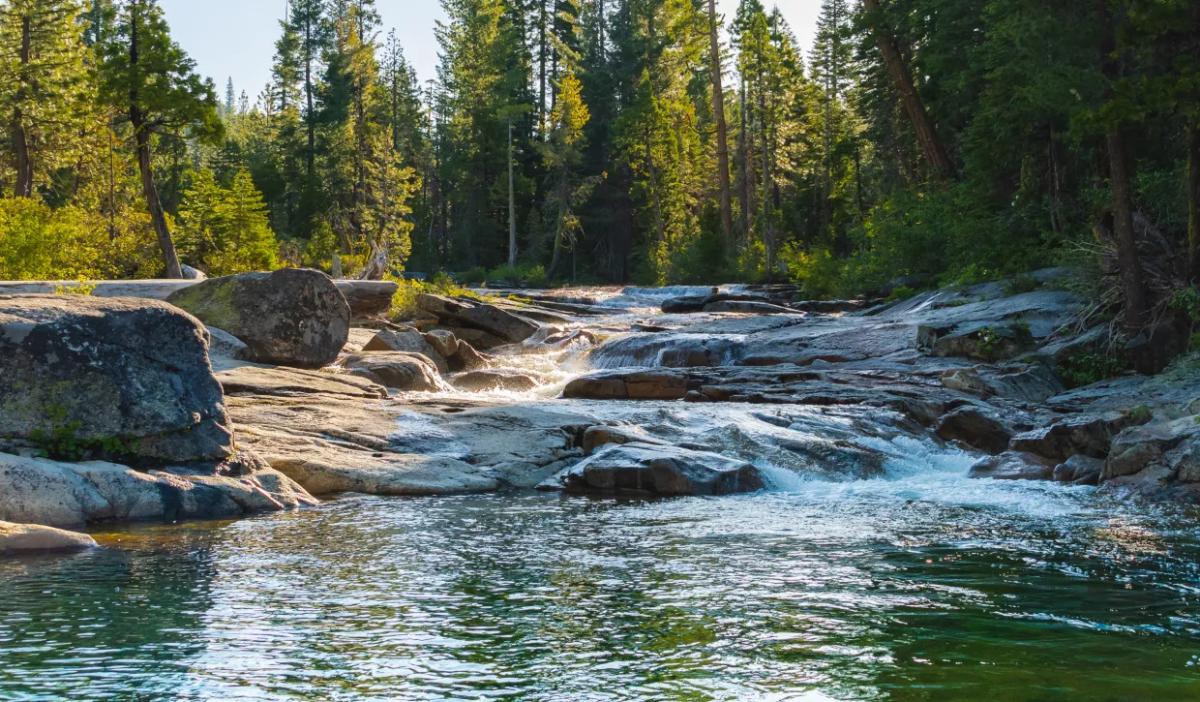 Small waterfall on a river in a wooded area.