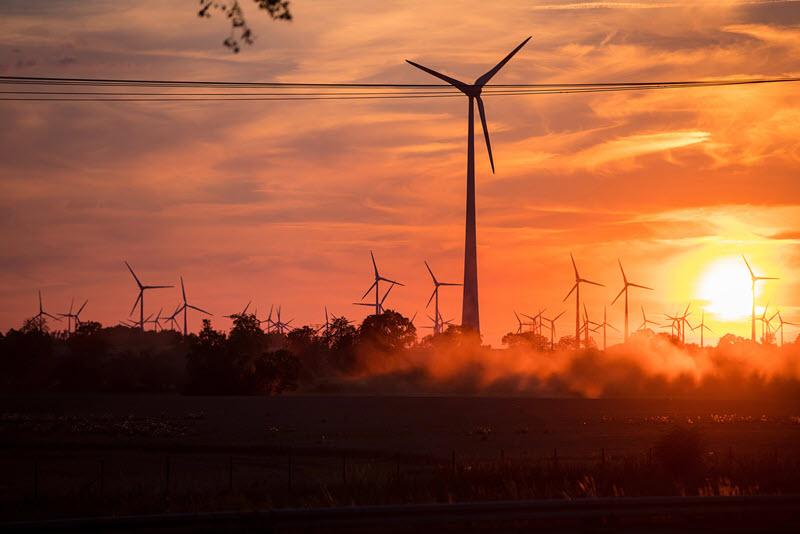 A sunsetting behind a large area with many wind turbines.