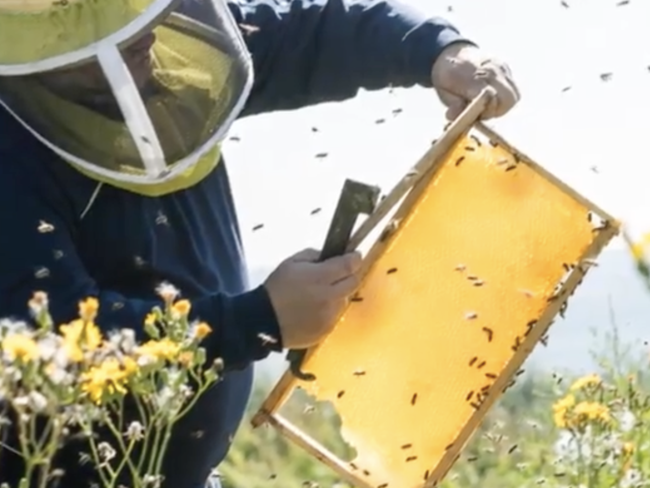 Beekeeper 