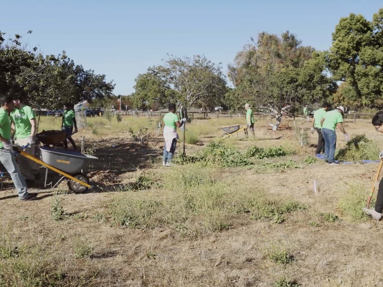 AMD employees volunteering outside