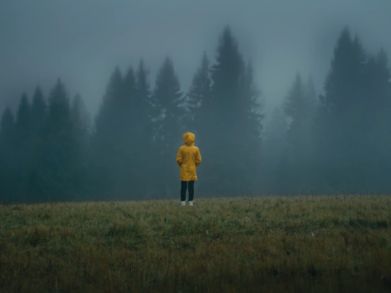 person standing in foggy field in yellow rain jacket