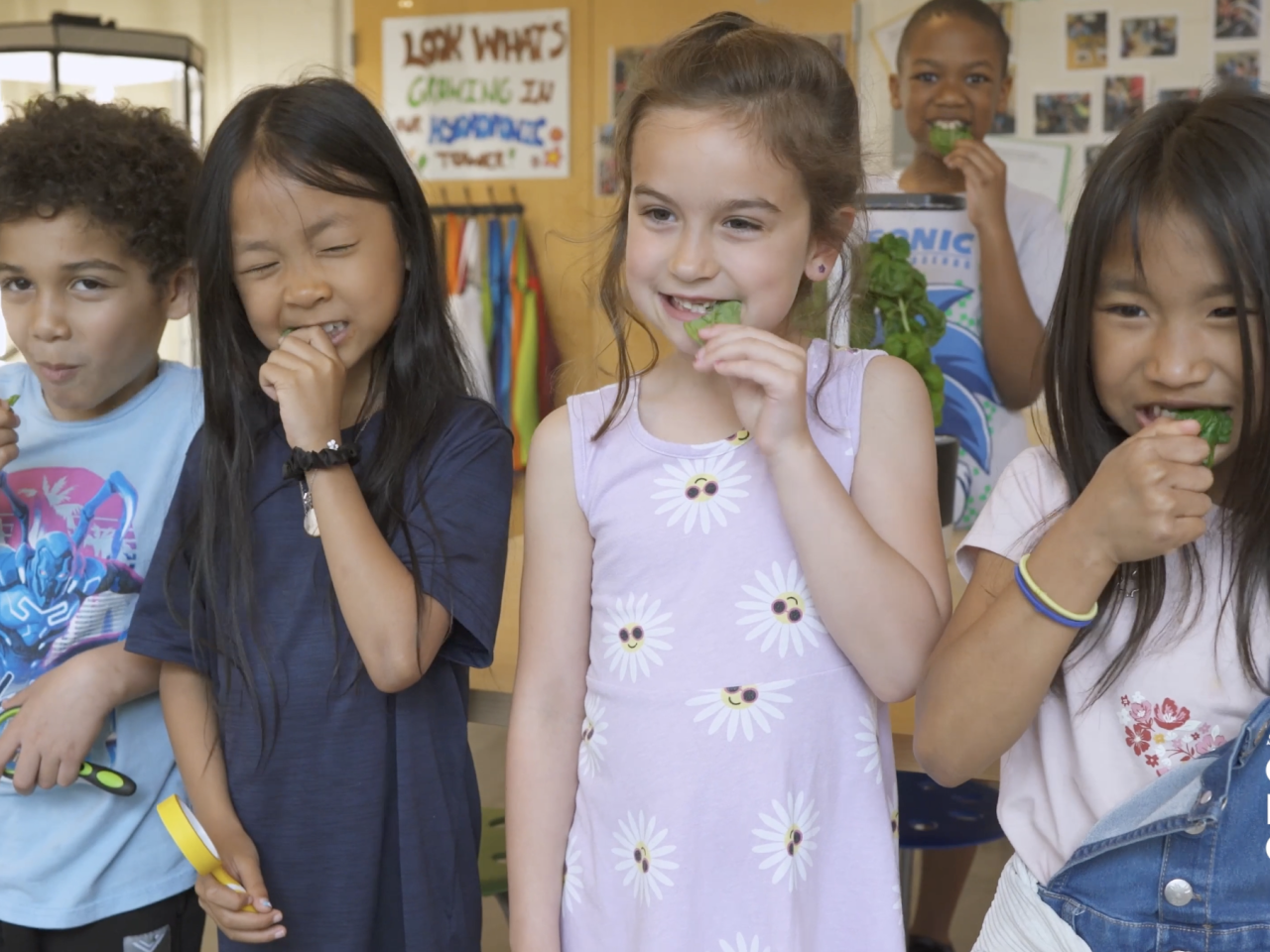 Students eating greens