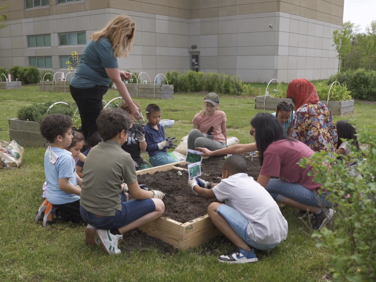 Teacher and students working together on a garden bed
